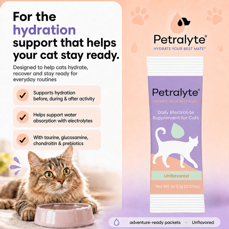 Petralyte Cat Hydration Electrolyte and Cat Joint Supplement | Hydration Support for Cats w/Glucosamine, Chondroitin, L-Glutamine, Taurine, Lysine & Prebiotics | Unflavored | 16 Packets 1-Pack (16 Packets)
