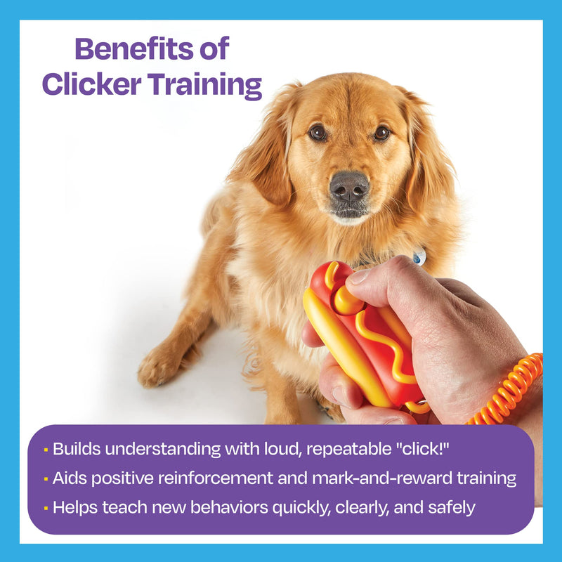 Brightkins Smarty Pooch Hot Dog Training Clicker - Dog Training Clicker, Perfect for Dog Training and Obedience Games - BeesActive Australia