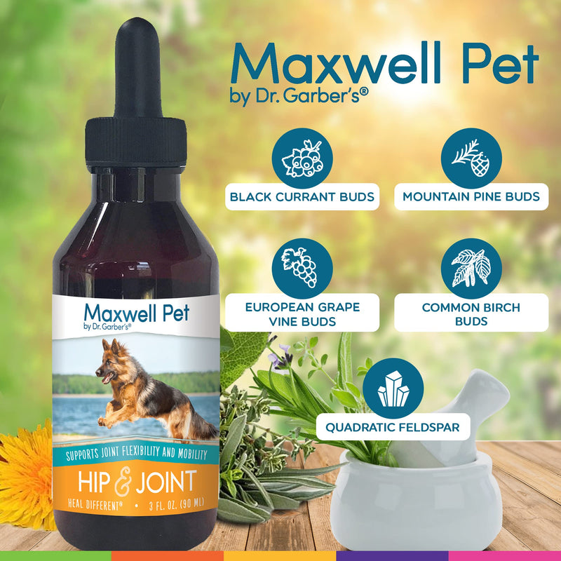 MaxWell Pet by Dr.Garber – Hip & Joint for Dogs - The First Natural Biotherapy Supplement Drops to Support and Restore Hip & Joint Health, Repair and Ease Hip & Joint Pain, & Improve Mobility – 90ml - BeesActive Australia