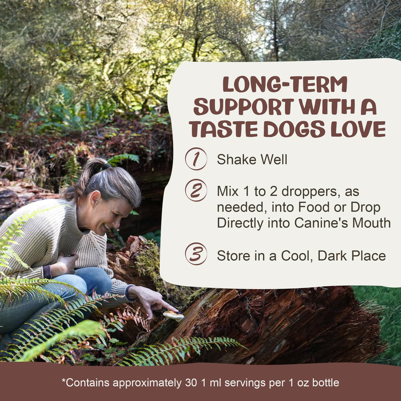 MycoDog Chaga Mushroom Supplement for Dogs - Immune Defense & Antioxidant Support - Natural Vitality & Wellness Drops