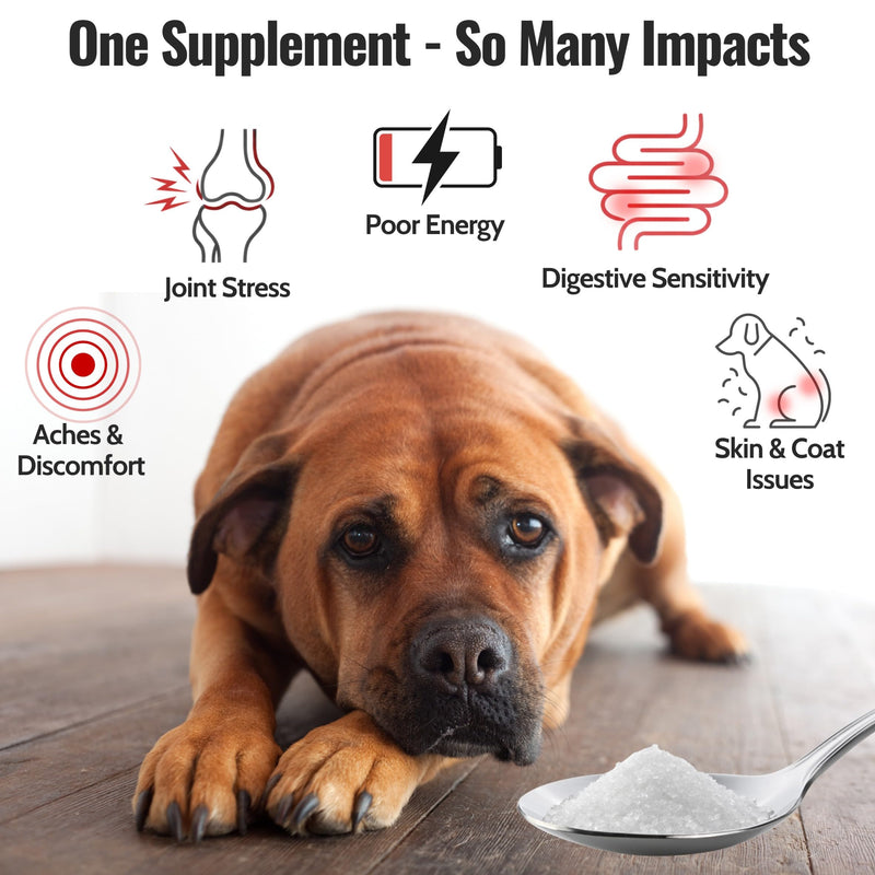 Pure MSM for Dogs & Cats | 99.9% Pure MSM Crystals | Organic Sulfur for Joint Support, Mobility, Skin & Coat | 100% Additive-Free | 7 oz / 210 g Bag 1 x 7oz Pack (30 - 90 Day Supply)