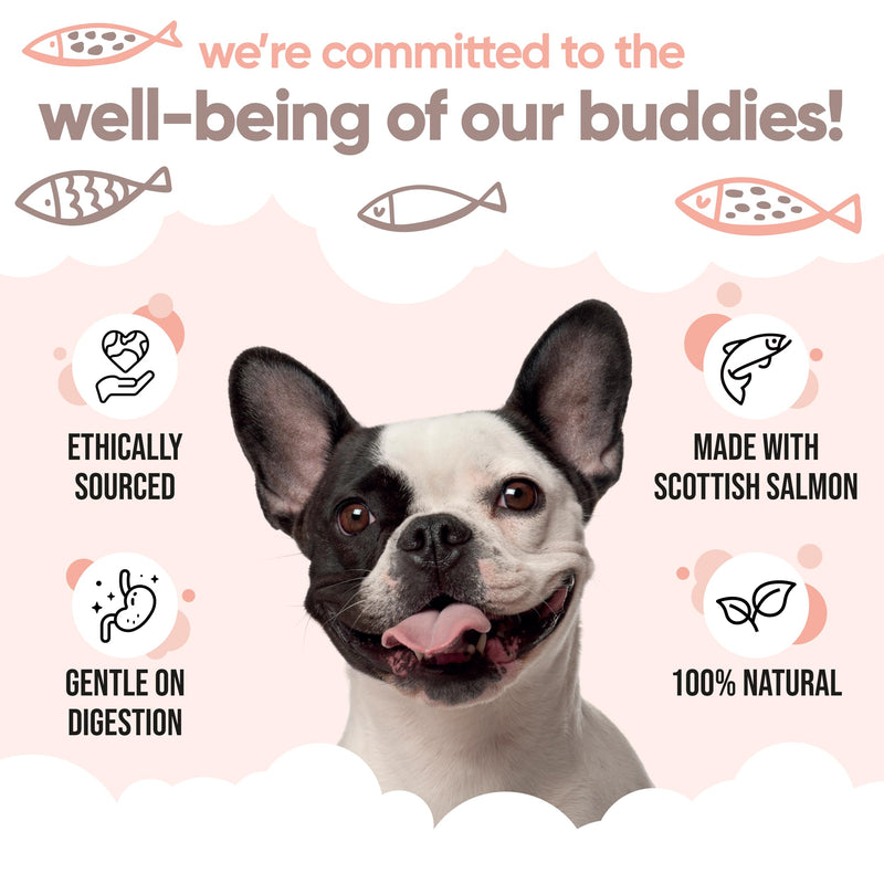 Buddycare Scottish Salmon Oil for Dogs and Cats (16.90 fl.oz) 100% Natural & Sustainable Supplement | Rich in Omega 3, 6 & 9 for Boosting the Health & Vitality of your Pet’s Skin, Coat & Immune System