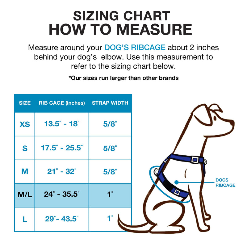 Blue-9 Buckle-Neck Balance Harness, Fully Customizable Fit No-Pull Harness, Ideal for Dog Training and Obedience, Made in The USA, Purple, Medium/Large M/L (Ribcage: 24"-35.5") - BeesActive Australia