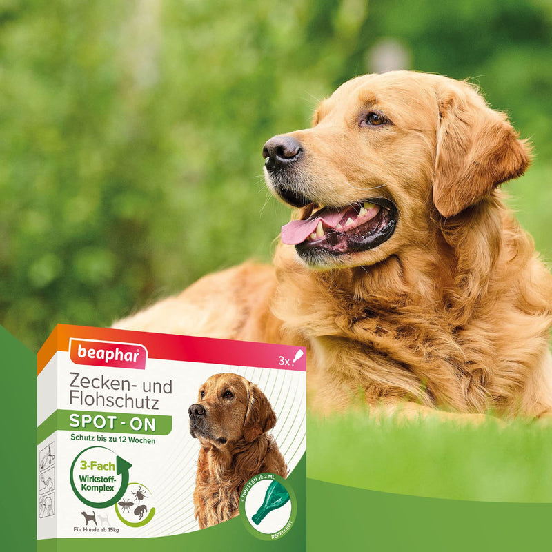 beaphar - Tick and flea protection Spot-ON for dogs over 15kg - Repellent against fleas, ticks and mosquitoes - Immediate effect - Protects up to 12 weeks - 3 pipettes 2ml each over 15 kg - BeesActive Australia