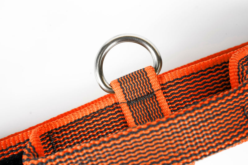 Julius-K9 Color & Gray Collar with Handle, Safety Clasp and Interchangeable Patch, 40mm (38-53cm), Orange-Grey with Handle 40mm (38-53cm) - BeesActive Australia
