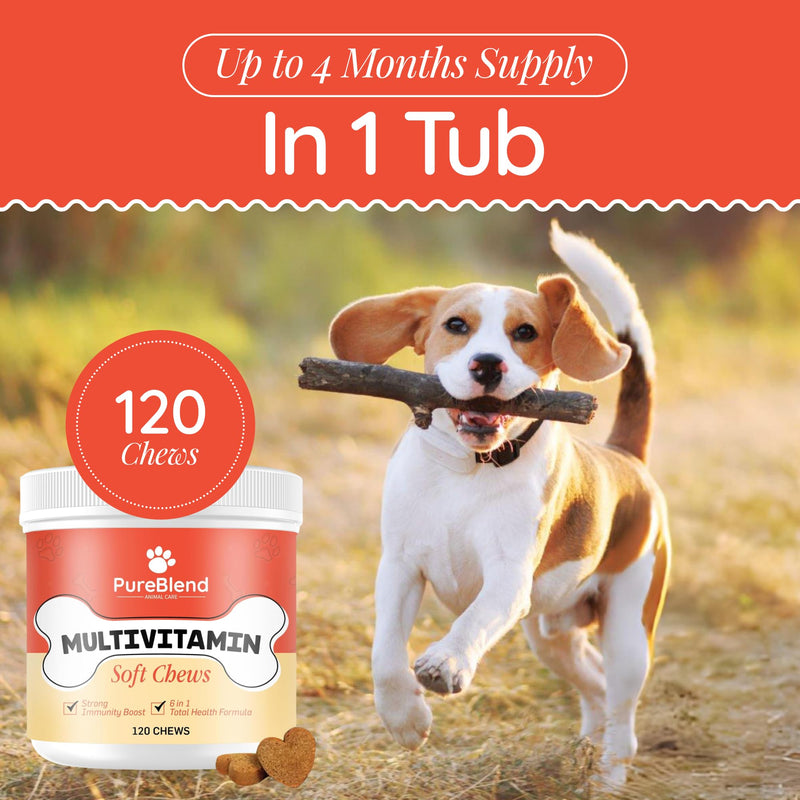 PureBlend Multivitamin Soft Chews for Dogs — Dog Vitamins with Glucosamine, Salmon Oil, Probiotics & CoQ10 — 120 Chews, Up to 4 Month Supply