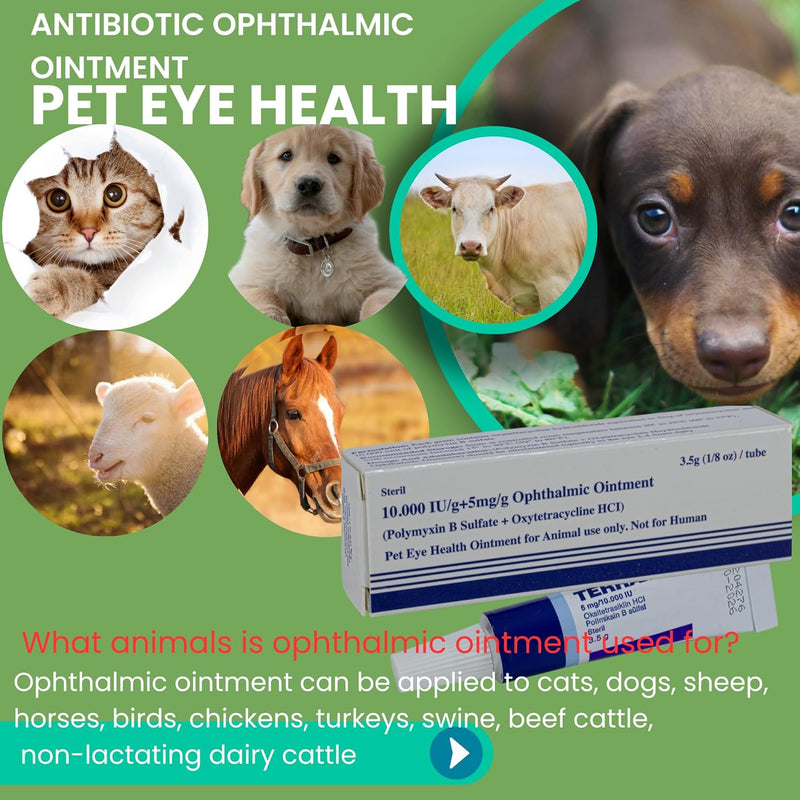 Pet Eye Health Ointment for Dogs, Cats, Cattle, Sheep, Horses, Birds and Puppies, Kittens 1/8 oz /3.5gr - 1 Tube - BeesActive Australia