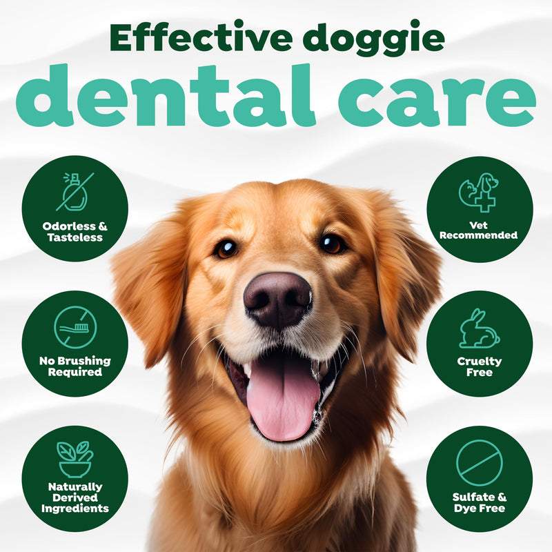 TropiClean Fresh Breath Dental Water Additive Concentrate | Dog Teeth Cleaning | Dog Breath Freshener | Dog Dental Care| Made in the USA | 2.2 oz. 2 fl oz (Pack of 1) - BeesActive Australia