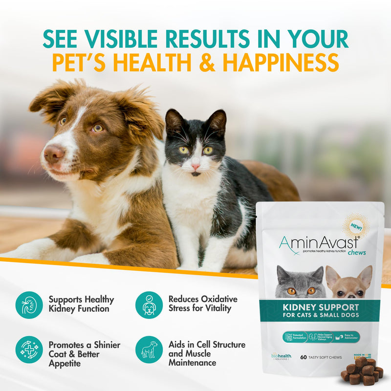 AminAvast Small Dogs & Cat Kidney Support - Promotes Healthy Kidney Support in Cats & Small Dogs - 300mg (60 Chews) 300mg (60 Chews)