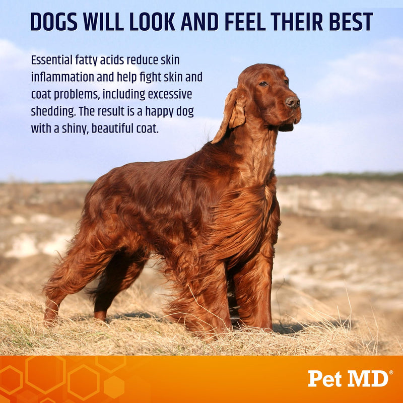 Pet MD Salmon Omega Bites for Dogs - Dog Skin and Coat Supplement with Omega 6 for Dogs & Omega 3 Fish Oil for Dogs Plus DHA & EPA - Promote Dog Allergy Relief & Dry Skin Relief for Dogs - 60 ct 60ct - BeesActive Australia
