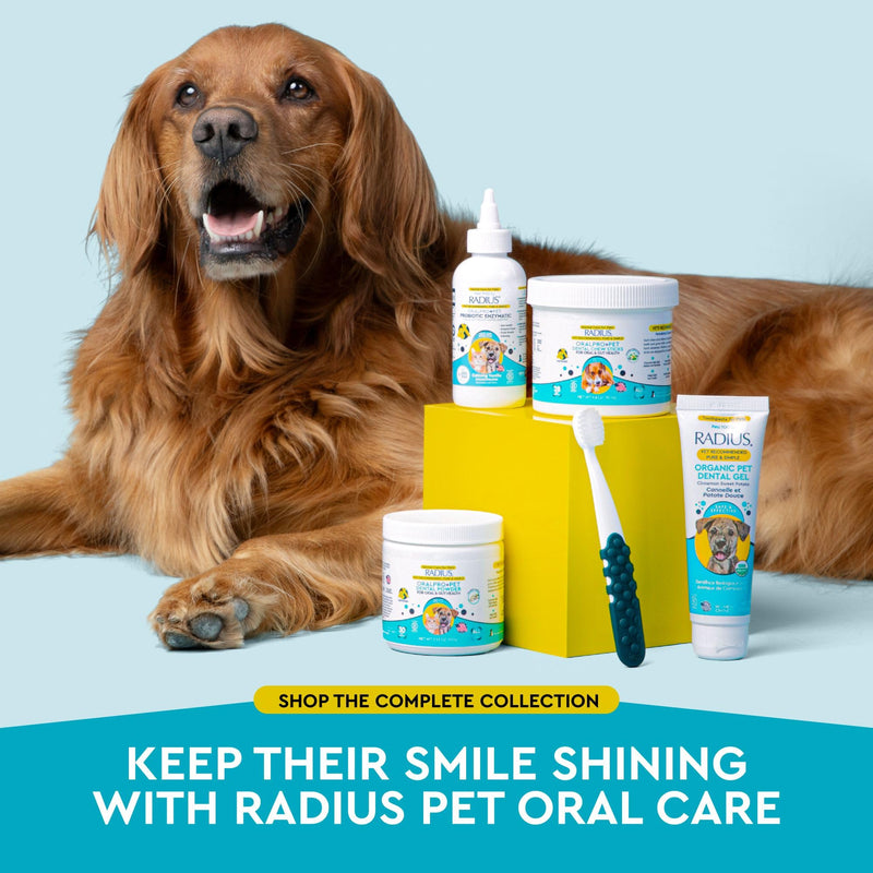 RADIUS OralPro+ Dog Dental Chew Sticks - Enzyme-Powered Plaque and Tartar Remover with Gut Health Prebiotics - Natural Vanilla Fresh Breath Treats for Dogs - 28 Count (Pack of 1)