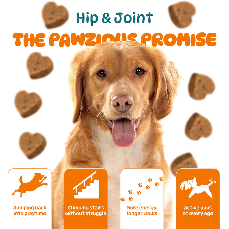 Joint Supplements for Dogs - Dog Hip and Joint Care Chews with Glucosamine, Chondroitin, Green Lipped, Omega-3, Turmeric and MSM for Arthritis, Chicken Flavor (100 Count)