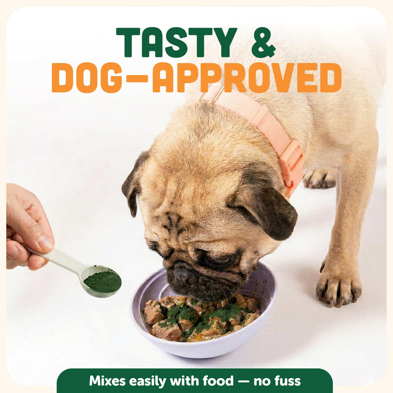 Plaque Off Powder for Dogs | Dogs Dental Powder for Teeth Cleaning, & Tartar Removal – Seaweed Plaque Remover with Probiotics for Gut Health & Fresh Breath – Up to 150 Days Supply