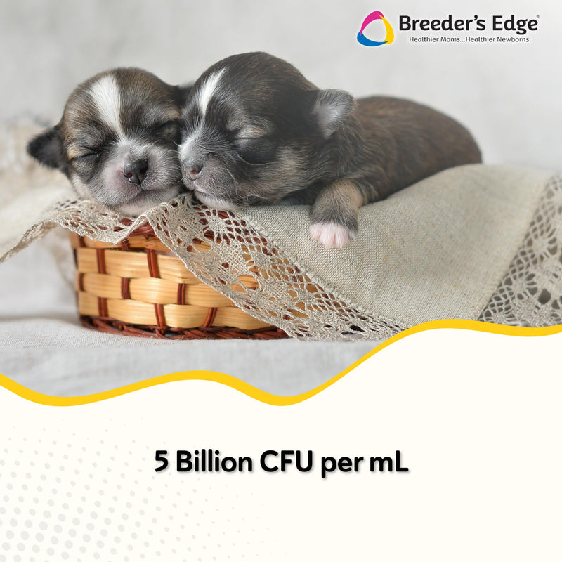 Revival Animal Health Breeder's Edge Nurture Flora for Puppies & Kittens | Colostrum Supplement for Puppies & Kittens | Protein & Vitamins & Minerals | Easy to Digest | 30ml Easy to Administer