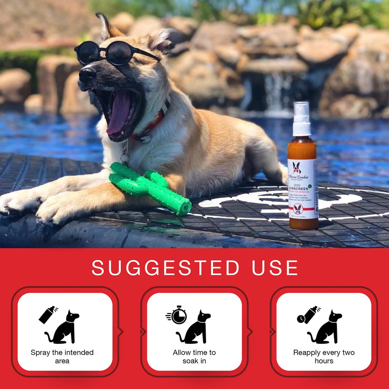 Warren London Dog Sunscreen Spray Protection with Aloe Vera I Dog Skin Soother I Puppy Sunblock I Made in USA- 4oz Two Pack 4oz Bottle (Two Pack) - PawsPlanet Australia