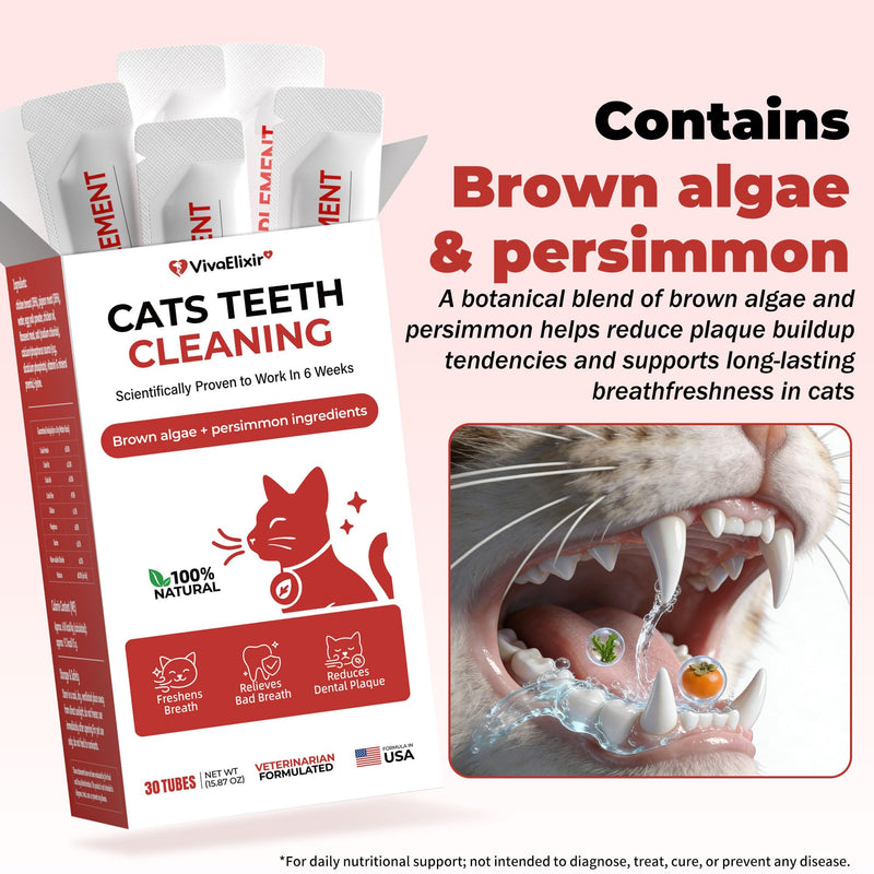 Cat Dental Care & Cat Teeth Cleaning Gel Treat for Cats – Dental Care for Cats, Cat Oral Care to Freshen Cat Breath, Help Reduce Plaque Buildup, Cats Bad Breath Support with Papain, MCC