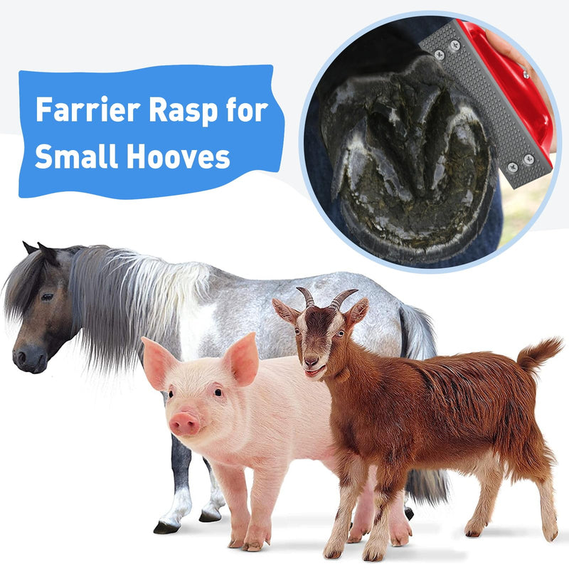 Goat Hoof Rasp File, Farrier Rasp for Small Hooves, Goat and Small Animals Red - BeesActive Australia