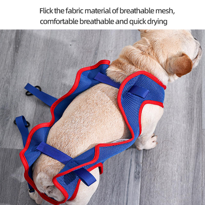 Cat Dog Grooming Hammock for Pet Grooming Sling,Dog Nails Clip Harness Bathing Harness,Cat Claw Cutting Hammock(S) S - BeesActive Australia