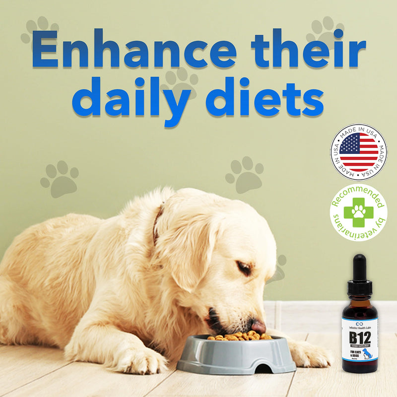 Liquid Vitamin B-12 for Dogs and Cats - Vet Formulated - Effective for All Animals Methylcobalamin (Methyl B12) - Energy, Appetite and Mood - Made in USA - PawsPlanet Australia