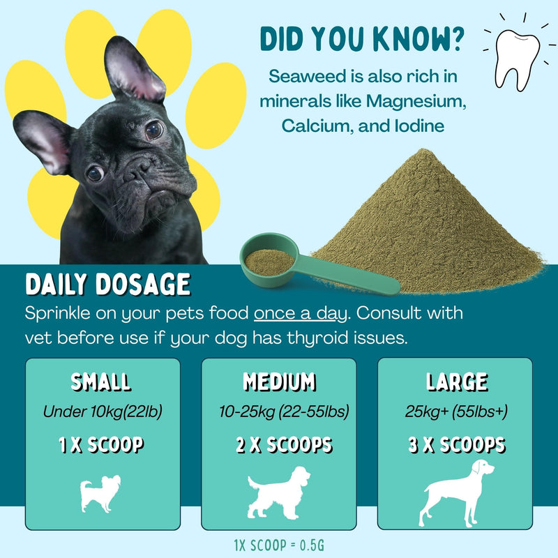 Target Plaque Shield | Seaweed Dental Powder for Dogs |150g | Helps Reduce Plaque & Tartar Build-Up, Fresh Breath Support | Dog Toothpaste & Toothbrush Alternative | Dental Stick Included