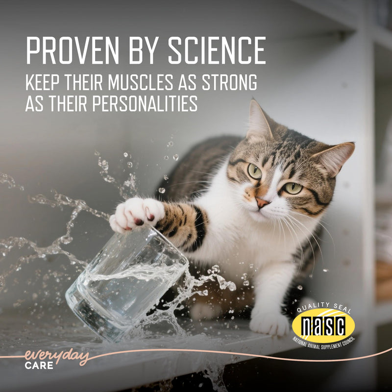 Virbac URSOLYX™ Soft Chews for Cats | Muscle Health Support for Senior, Active or Recovering Cats | 60 Count 2- Month Supply