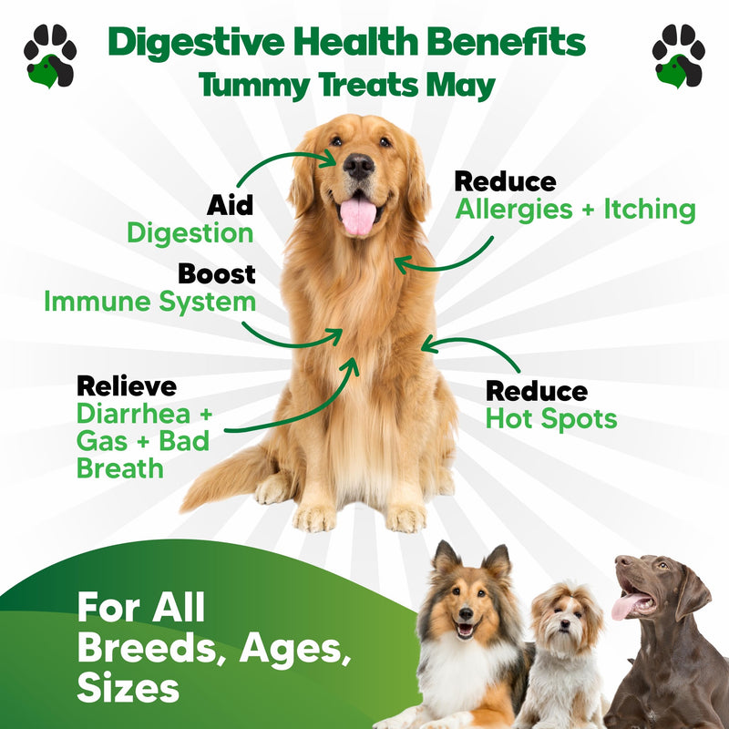 Probiotics for Dogs – Digestive Health Chews with Prebiotics & Enzymes | Dog Probiotic Supplement for Gut, Diarrhea Relief, Gas & Allergy Support – Chicken Flavor Soft Chews 90 Count