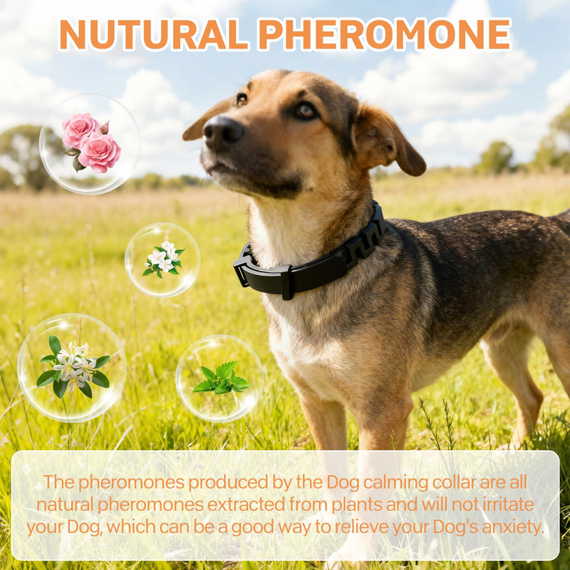 Dog Calming Collar UK - 6 Pack Long Lasting Pheromone Collars for Anxious Dogs, Supports Calm Behaviour & Stress Support (120 Days Effect) Adjustable Fit 25 Inch/63.5cm for Puppy Adult Dogs