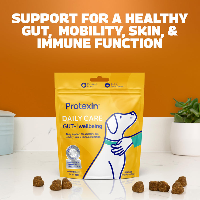 Protexin Daily Care Gut+ Wellbeing – Probiotic, Prebiotic & Postbiotic Chews for Dogs – Supports Gut Balance, Skin, Mobility & Immune Health – Duck & Carrot Flavour – 60 Soft Chews