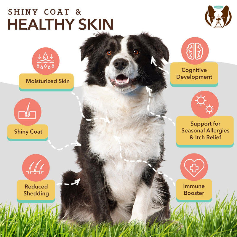 Natural Dog Company Wellness Bundle for Dogs, Skin & Coat Supplements for Dogs, Hip & Joint and Glucosamine for Dogs - PawsPlanet Australia