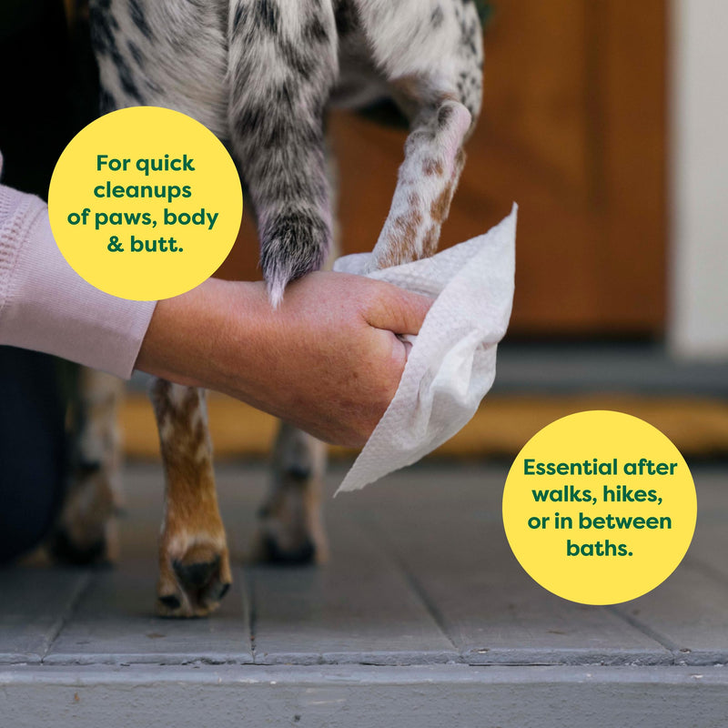 Earth Rated Ultimate Dog Grooming Bundle - Includes Lavender-Scented Dog Grooming Wipes, Hypoallergenic Plant Based Dog Ear Wipes, Hypoallergenic Plant Based Dog Eye Wipes - PawsPlanet Australia