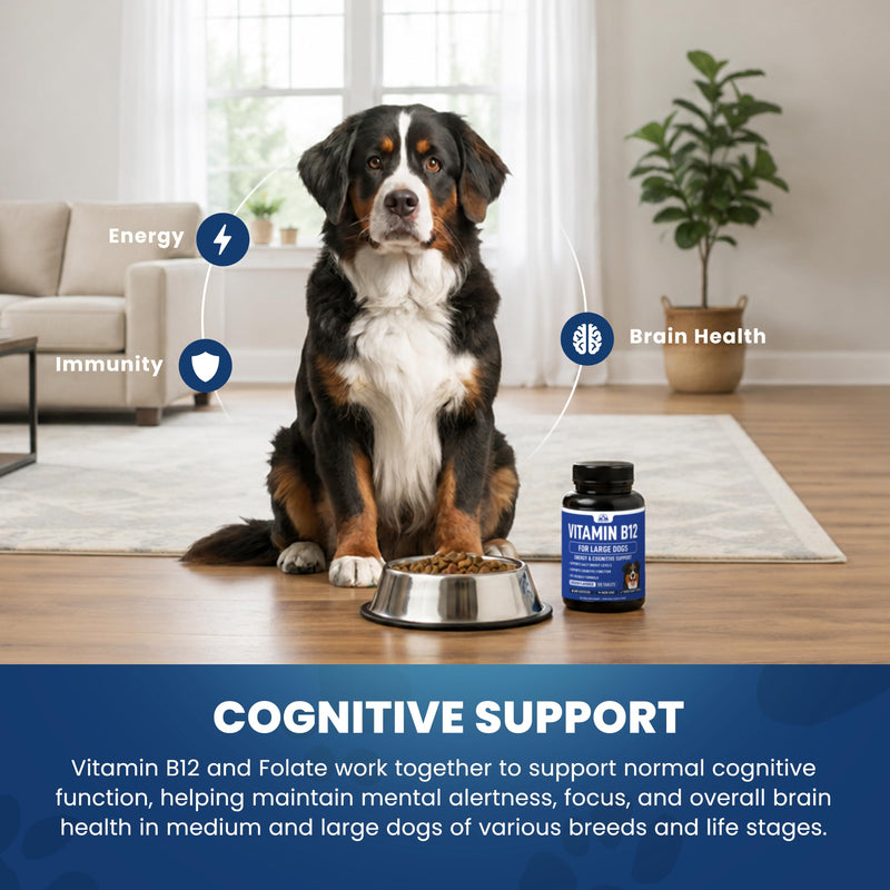Vitamin B12 Supplement for Medium & Large Dogs with Cobalamin, Folate - Vitamin B12 for Dogs Tablet Energy & Cognitive Support - 120 Chicken Flavored Chewable Tablets -Third Party Tested, Non GMO Medium & Large Dogs (120 Count)