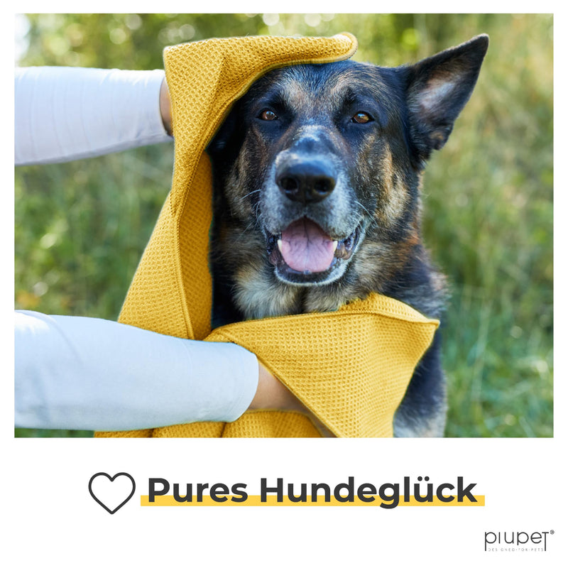PiuPet® Dog Towel I 120x70cm I Microfiber Towel for Dogs I Towel Dog Extra Absorbent I Dog Towel Large Dogs I Single Towel I Microfiber Towels | Dog accessories (yellow) set of 1 yellow - BeesActive Australia