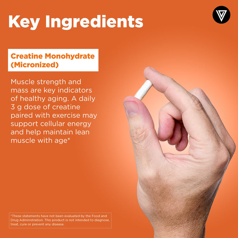 Vital Vitamins Creatine Monohydrate Pills, 3g for Women & Men | Supports Muscle Health, Energy & Cognitive Clarity, Micronized, Easy to Swallow, Non-GMO, 120 Capsules 120 Count (Pack of 1)