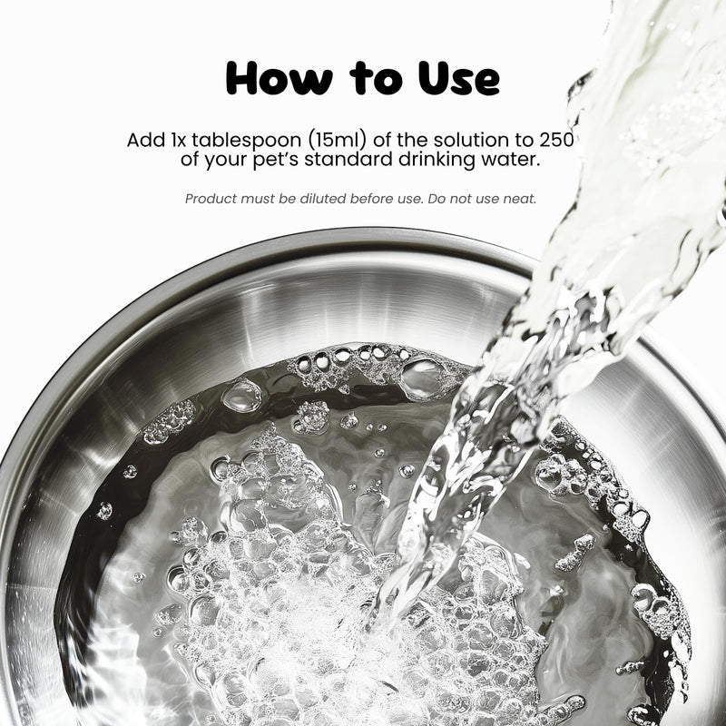 Dental Solution Water Additive for Dogs, Freshens Breath, Reduces Plaque & Tartar, Alcohol-Free Natural Formula, Easy Daily Oral Care, Made in the UK - 250ml