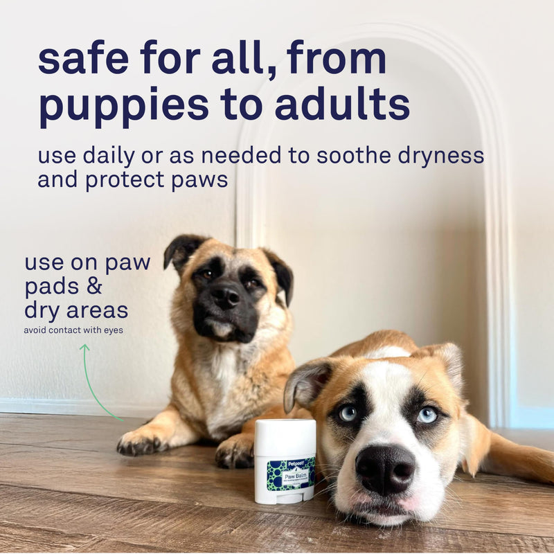 Petpost | Paw Balm for Dogs - Nourishing Cream Soothes Itchy, Dry Dog Paws with Moisturizing Ingredients - Organic Coconut Oil, Jojoba Oil, and Shea Butter 0.64 oz.