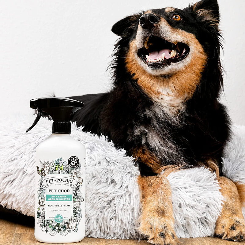 Pet-Pourri Pet Odor Air + Fabric Odor Freshener Spray, Pawsitively Fresh, 16 Fl Oz - BeesActive Australia