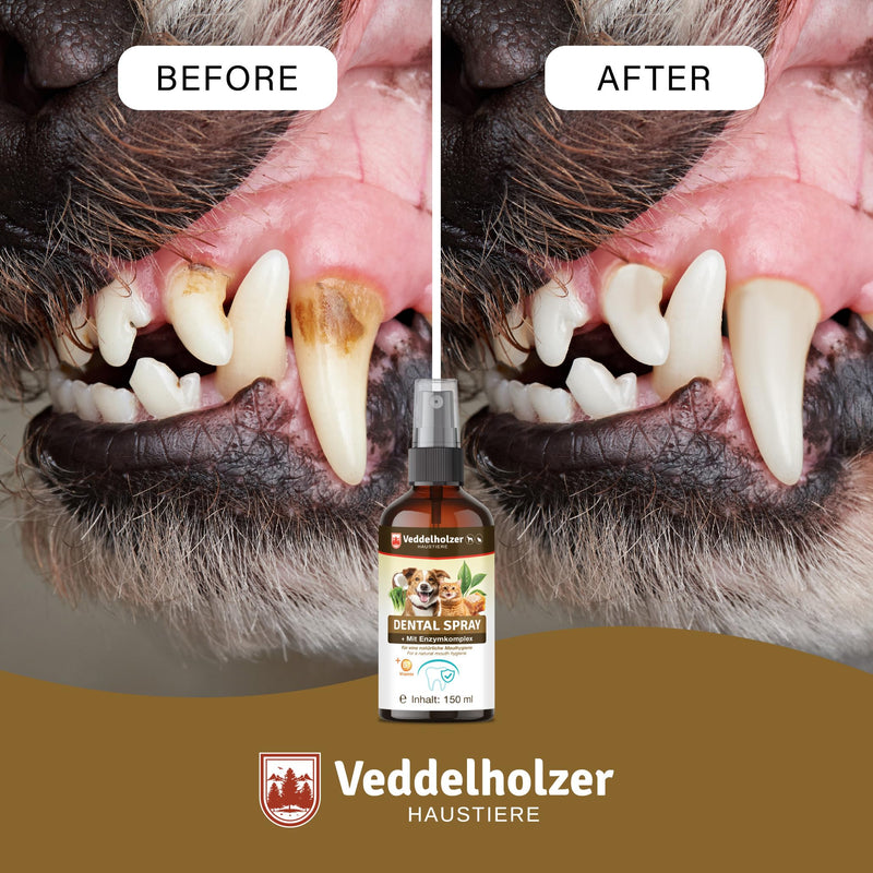 Veddelholzer 150 ml Probiotic Dental Spray Set for Dogs & Cats with Finger Toothbrush & Enzyme Complex Dental Care Tartar Remover Effective Against Bad Breath Natural Dental Care as a Spray