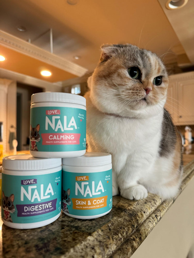 LOVE, NALA - Digestive Health Supplement for Cats - 90 Soft Chews - Digestive Enzymes - Helps Support Digestive System, Diet Changes, & Food Transitioning - 3.2 oz Digestion - BeesActive Australia