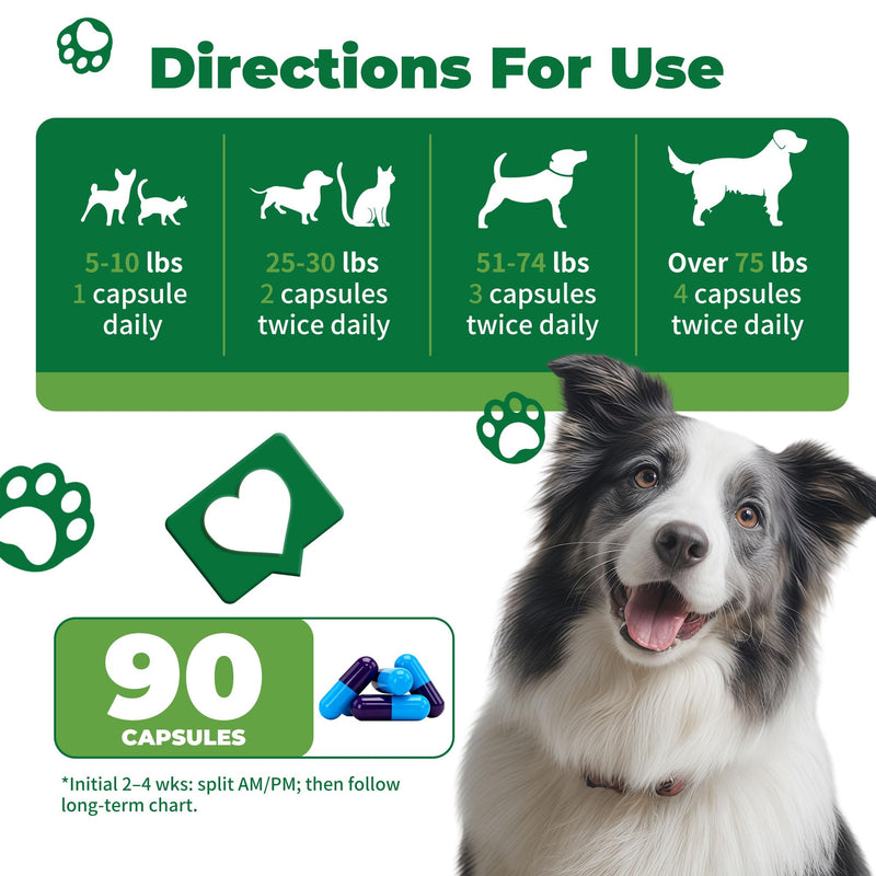 Diabetic Dog Vision Support Supplement– Alpha-Lipoic Acid, Lutein, Taurine & Blueberry Extract | Antioxidants Supports Eye Health & Protects Vision in Diabetic Dogs -90 Capsules