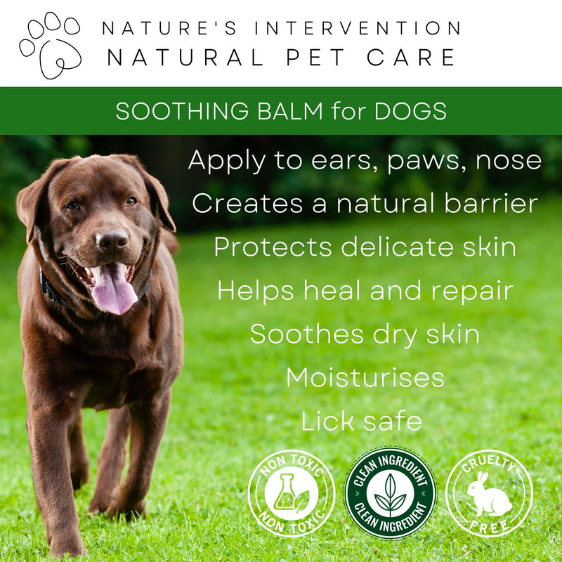 NATURE'S INTERVENTION 100% Natural Soothing Balm for Dogs – 50ml – Beeswax, Shea & Lavender – Protective Paw, Nose & Skin Butter – Lick-Safe & Non-Toxic