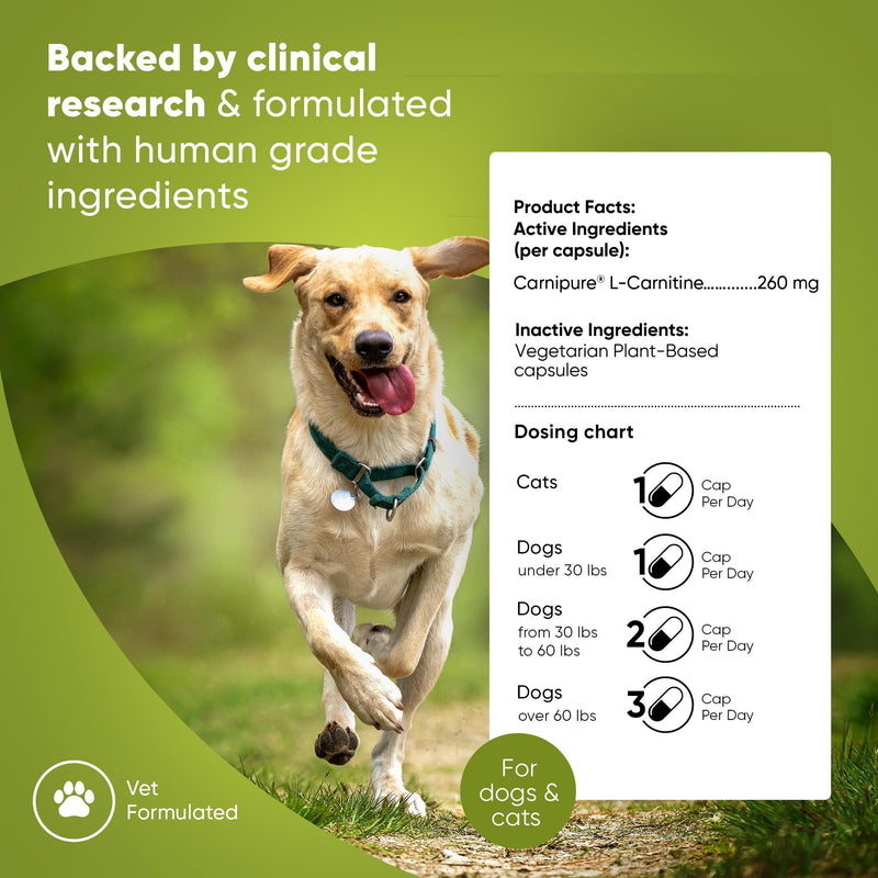 Rooted Owl Metabolism Support - L-Carnitine Supplement for Dogs and Cats to Support Healthy Weight - Dog and Cat Supplement - 60/ct Weight Management