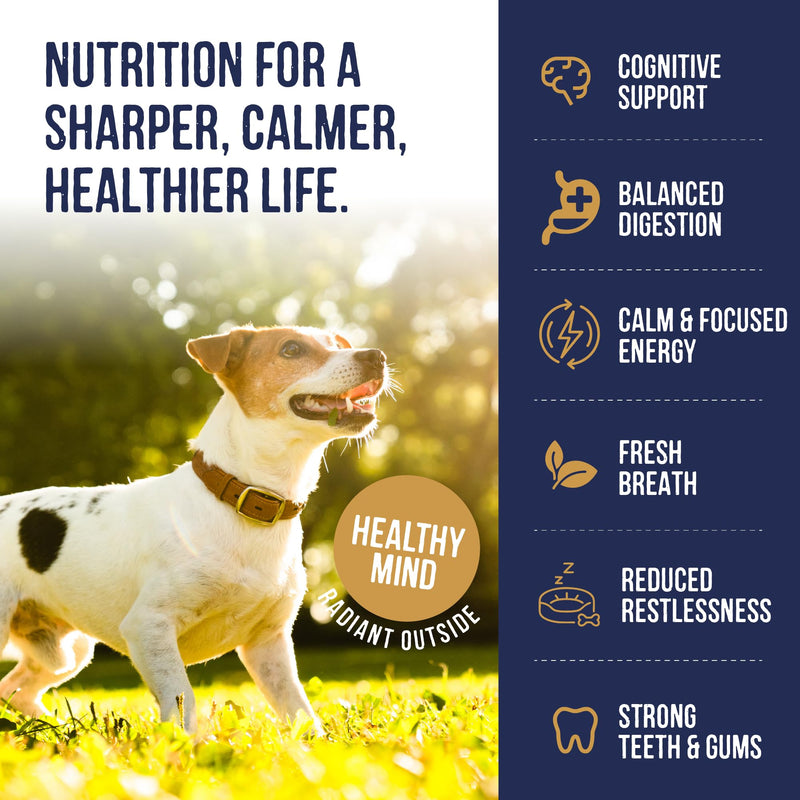 Harley & Marley Cognitive Function Super Bites for Dogs - Natural Brain Health Support with Carrot, Seaweed, Vitamin B6 & Kale - Supports Cognitive Development & Mental Focus - 4pk (50/pk) Pack of 4