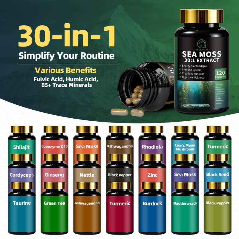 Shilajit for Men, Sea Moss and Shilajit Bundle, All in 1 Supplements with Coenzyme Q10, Black Seed, Ashwagandha, Taurine, Burdock for Energy, Endurance, Antioxidant & Immune Support, 240 Capsules 120 Count (Pack of 2) - BeesActive Australia