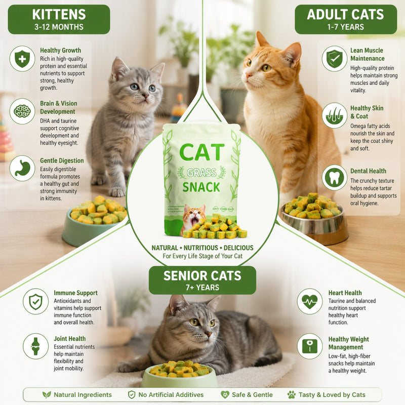Cats Toy Kitten Grass Treats 70g/2.47oz Freeze Dried 2 in 1 Fish Oil Cat Chew Stick Pellet for Hairball Removal Kitty Catnip Snack Chicken Flavor for Cleaning Teeth & Dental Care Food Indoor
