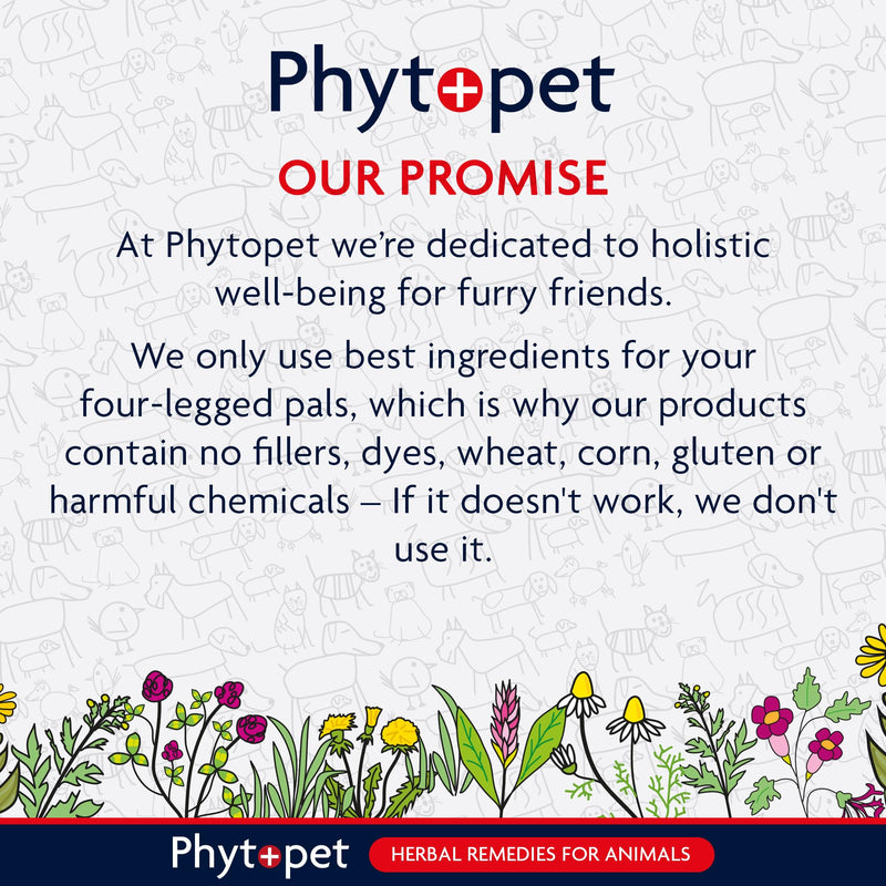 Phytopet Wormwood Complex, All Natural Pet Remedy Intestinal Hygiene, Health and Wellbeing, Herbal Supplements for Dogs and Cats, 30ml - 100% Herbal Phytopet Pet Supplies