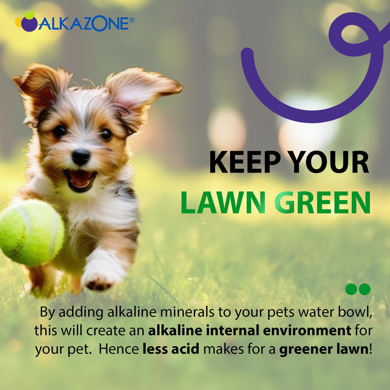 Alkazone Alkaline Water Drops for Cats and Dogs | Provide Essential Minerals | Support Optimal Health | Tasteless & Flavorless | 1 Pack Yields 20 Gallons | Serving Size 3 Drops