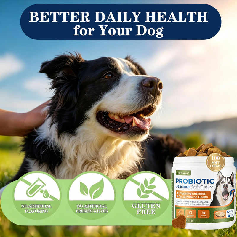 Probiotics for Dogs – Probiotic Chews with 4.8 Billion CFU, Digestive Enzymes & Pumpkin | Dog Gut Health Supplement for Diarrhea, Gas & Sensitive Stomach | Soft Chews for Senior Dogs & All Breeds Chicken 100 Chews*1