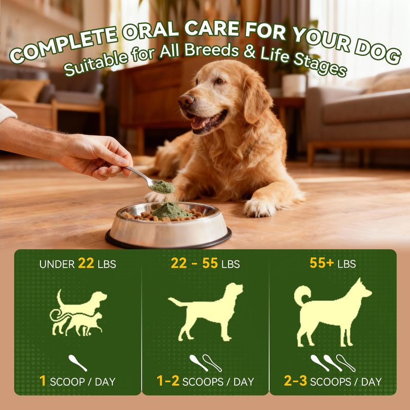 Pet Dental Cleaning Powder & Patented Hair Remover Glove Bundle: No-Brushing Oral Care for Fresh Breath, Plaque Support & Reusable Five-Finger Grooming Mitt for Furniture, Carpet, Couch
