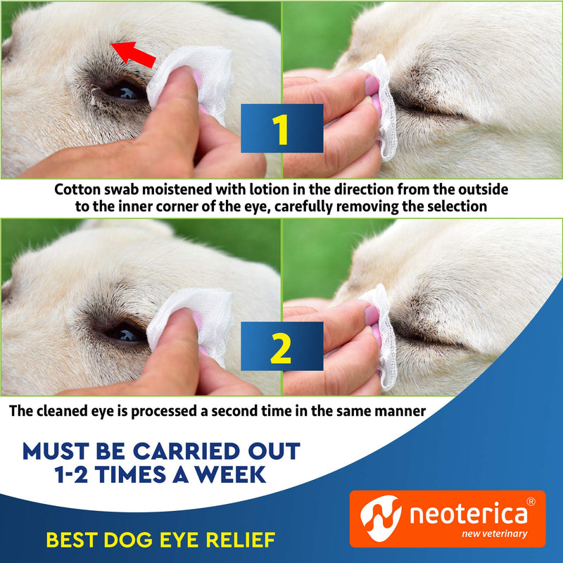 Cat & Dog Eye Wash Drops & Tear Stain Remover, Cleaner | Eye Infection Treatment Helps Prevent Pink Eye, Relief Allergies Symptoms, Runny, Dry Eyes - Safe for Small Animals (Eye Drops) Eye Drops - BeesActive Australia