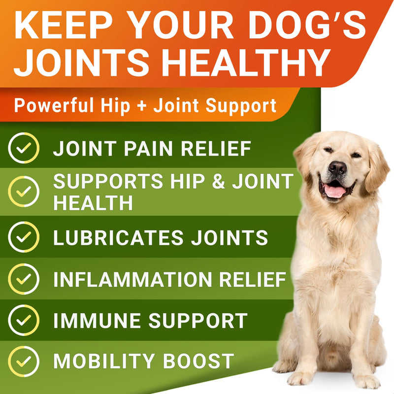 Advanced Hemp + Glucosamine Dog Joint Supplement - Hip Joint Pain Relief - Mobility Chews for Dogs - Chondroitin, MSM, Omega - Made in USA - Lamb Flavor - 120 Hemp Treats 120Ct (Lamb) (HIP&JOINT) Hemp Chews